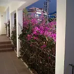 Hotel Ant