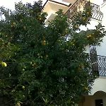 Ant Ölüdeniz