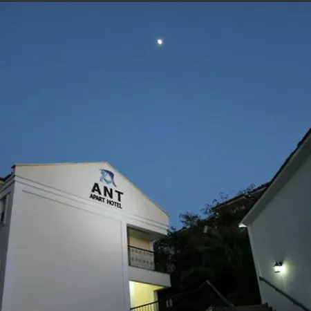 Ant
