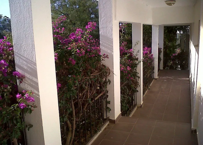 Ant فندق أولدينيس