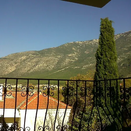 Ant Oludeniz