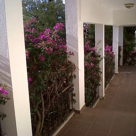 Ant 公寓 厄吕代尼兹