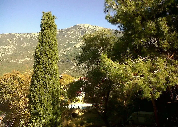 蚂蚁阿帕特酒店 酒店