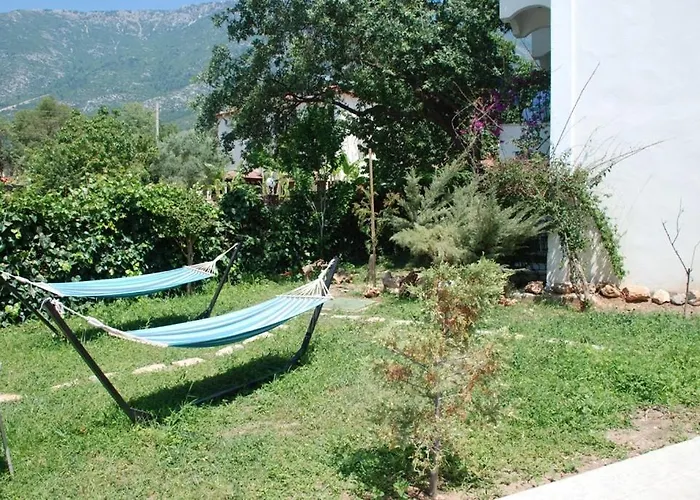 Ant Ολουντενίζ