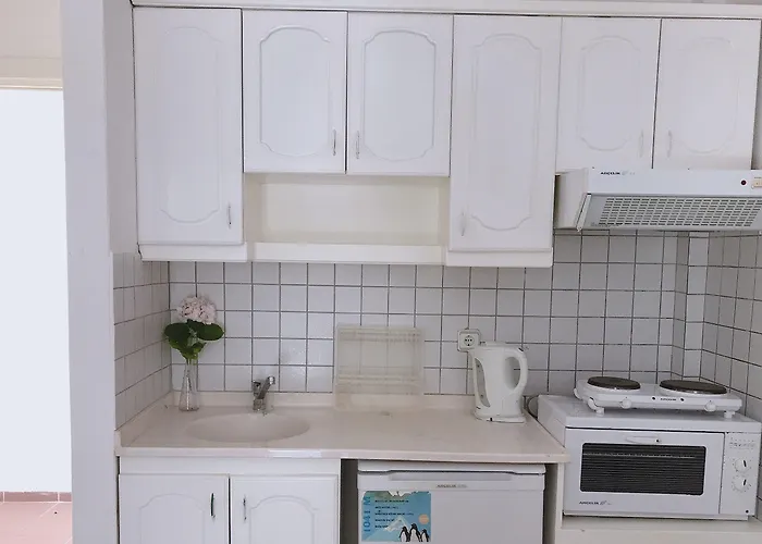 蚂蚁阿帕特酒店 3*