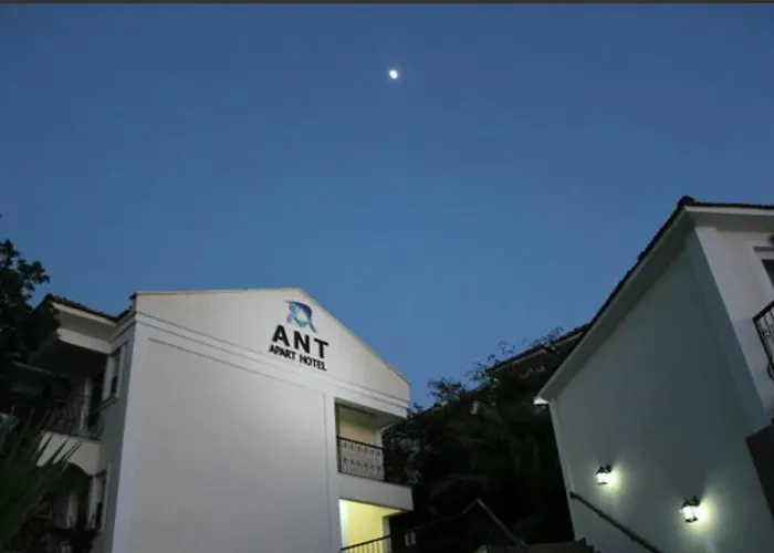Ant